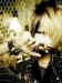 Reita4
